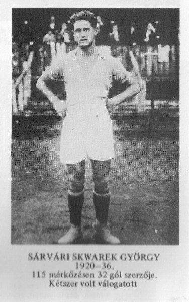 skvarek-sarvari-gyorgy-.jpg