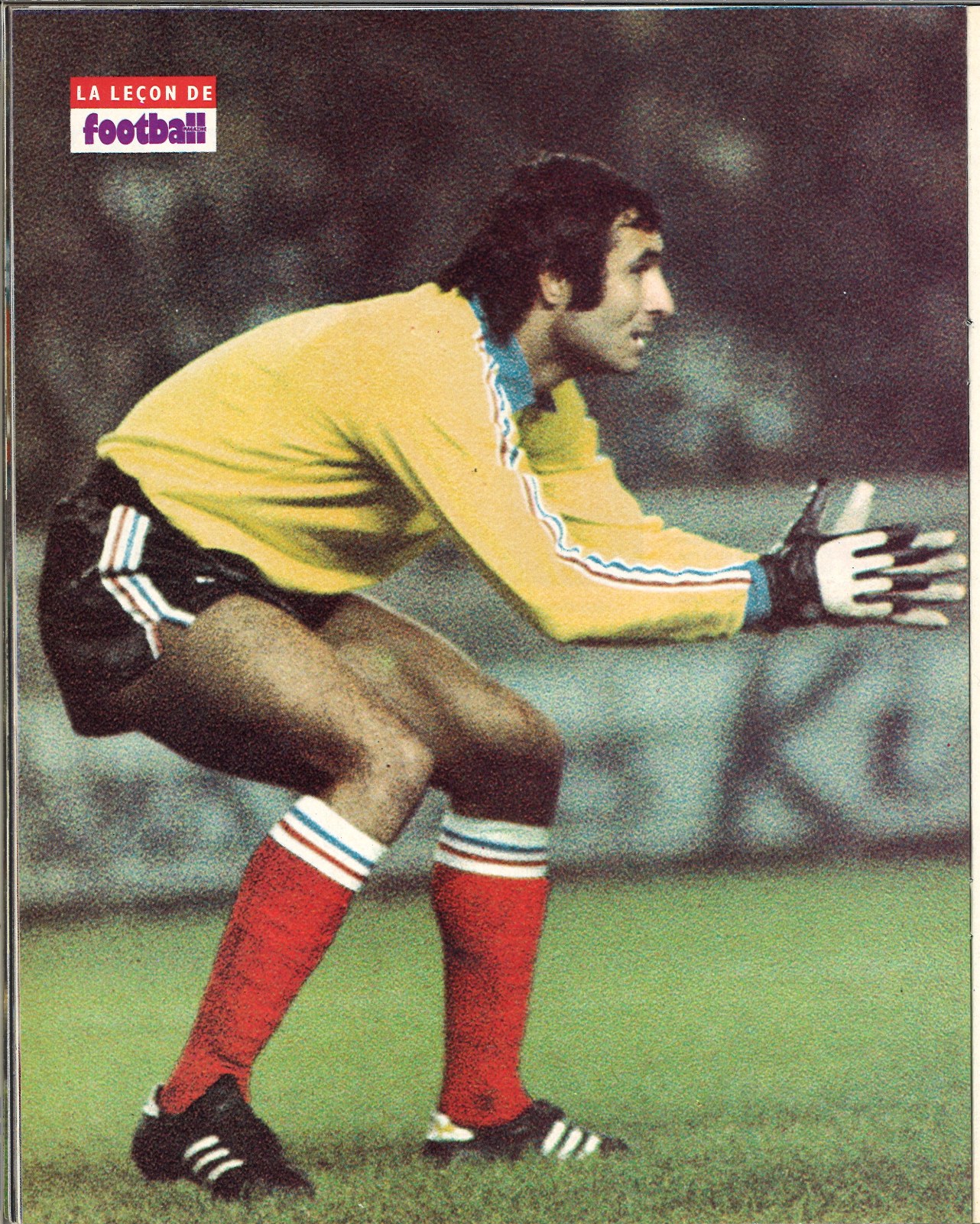 Dominique BARATELLI.jpg