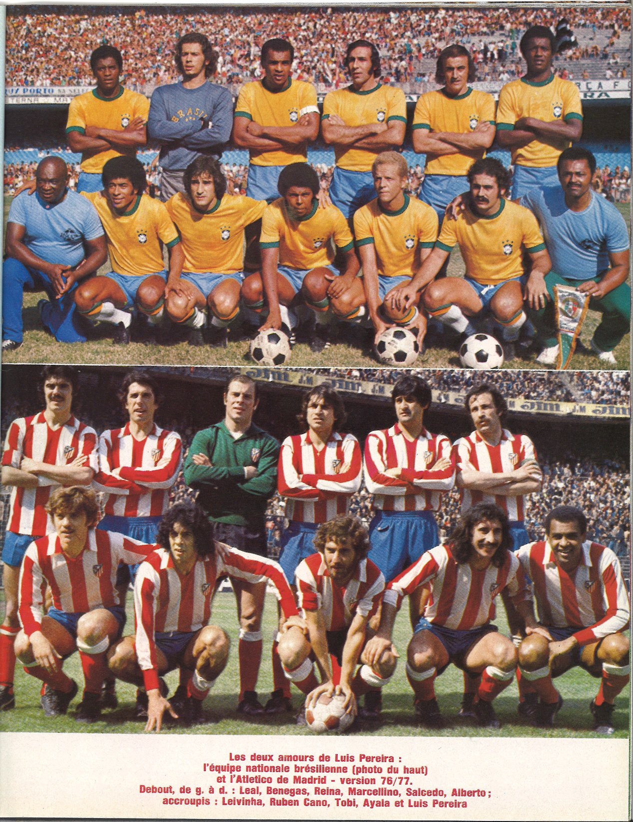 FR01PPRT003_FR01PPTR304_0522_001.jpg