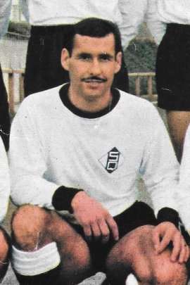 Pohon - Quimper.jpg
