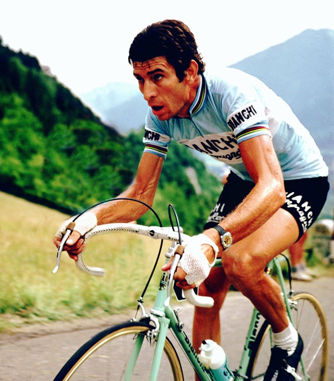 Felice Gimondi.jpg