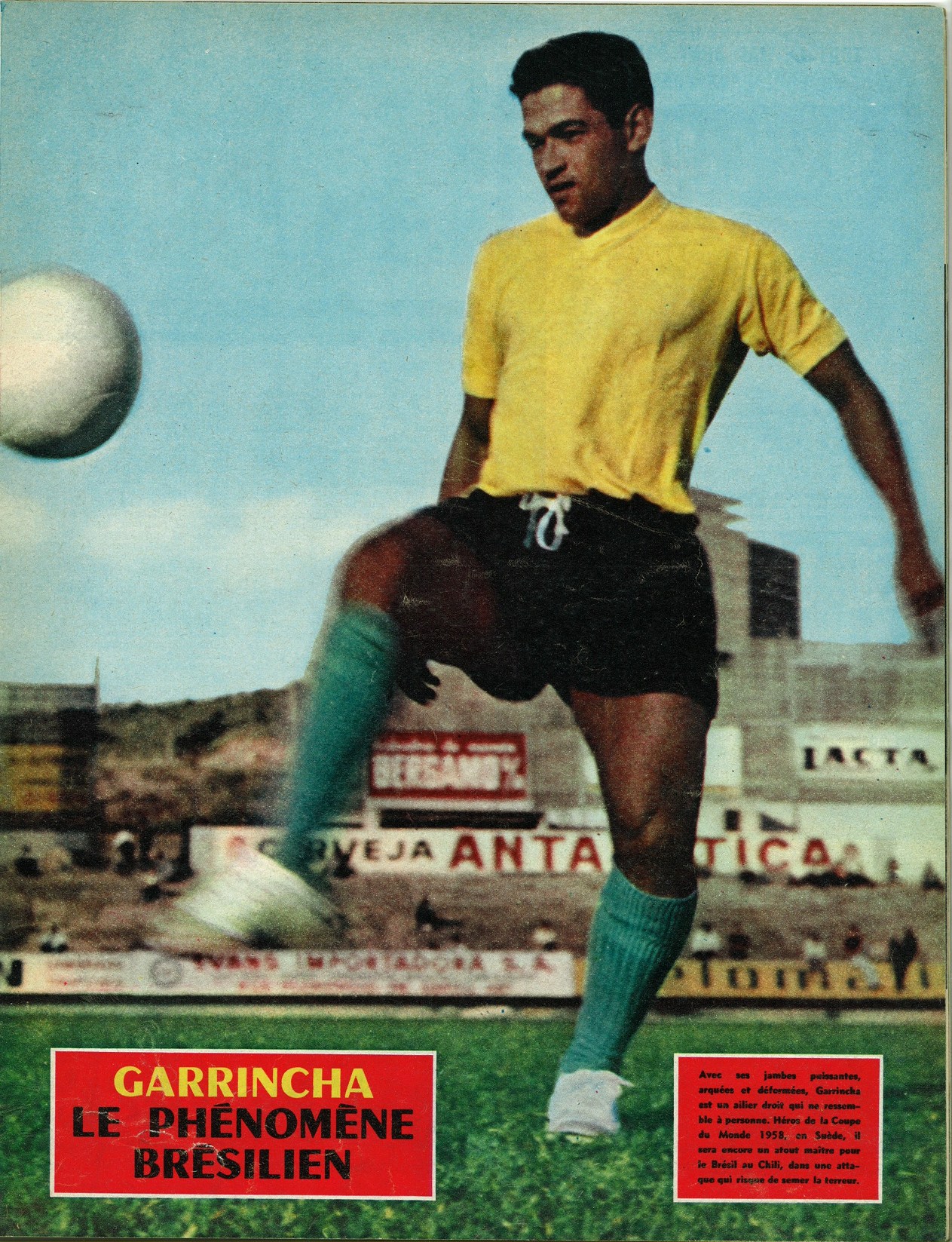 GARRINCHA.jpg