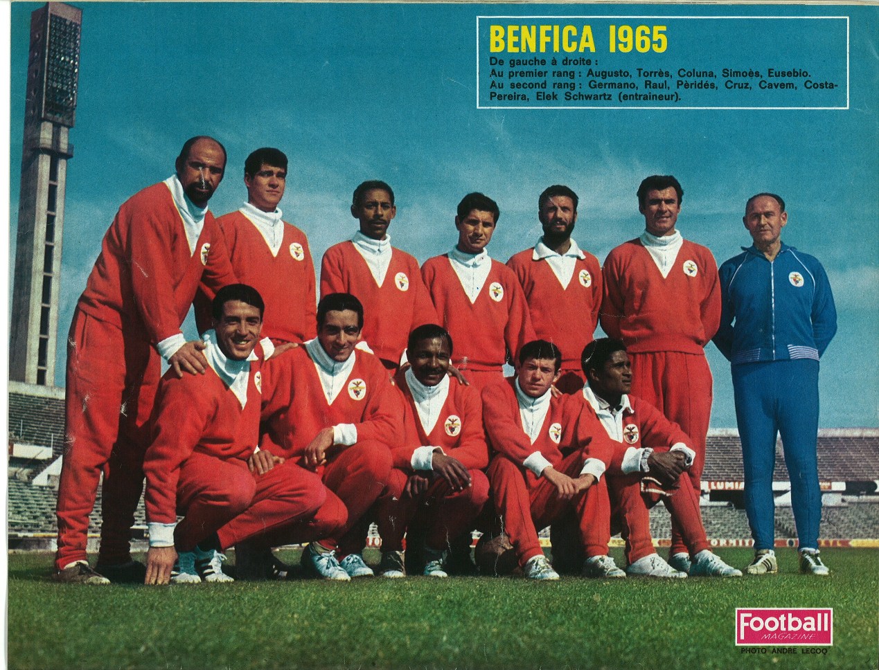 Benfica 1964-65.jpg