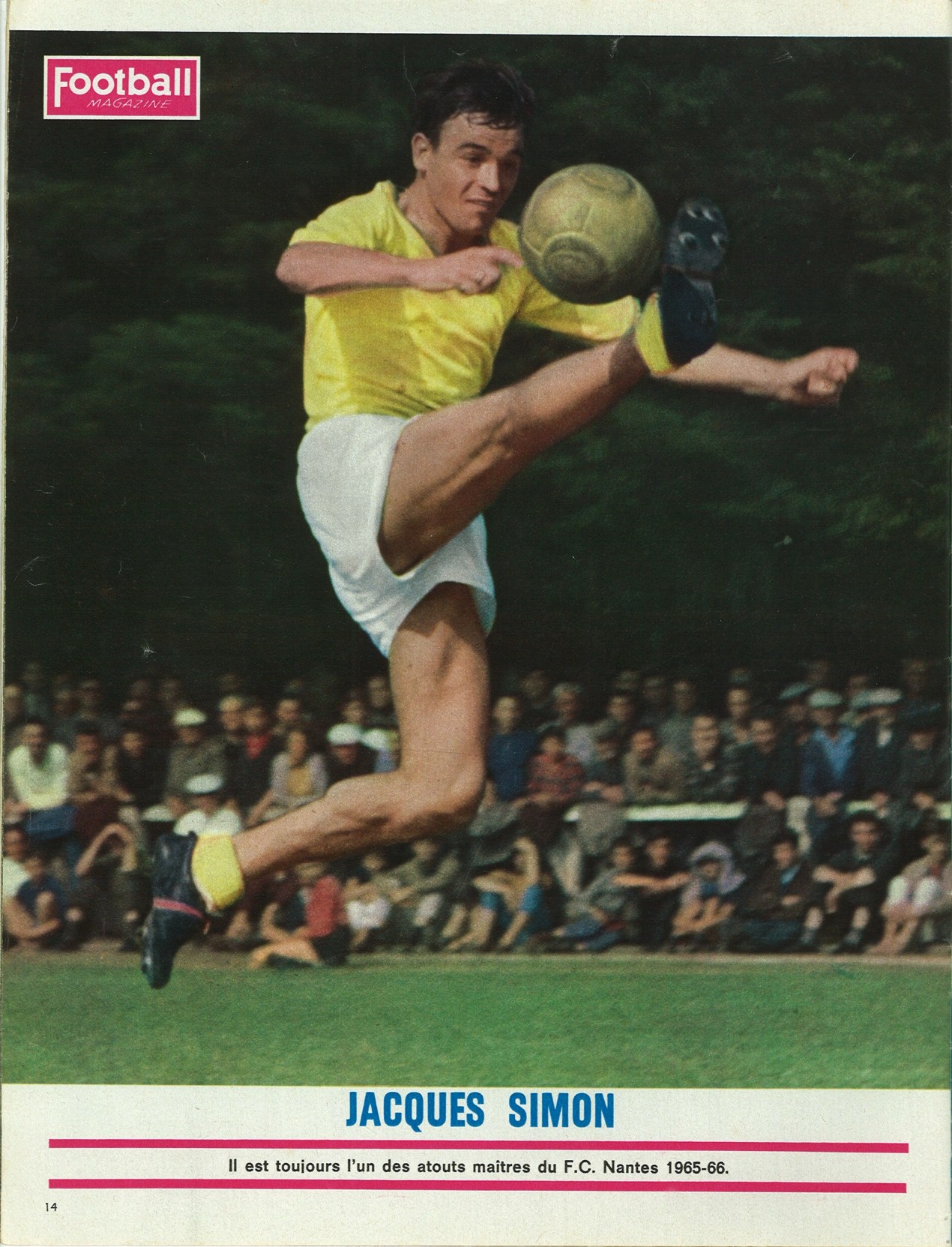 SIMON Jacques.jpg