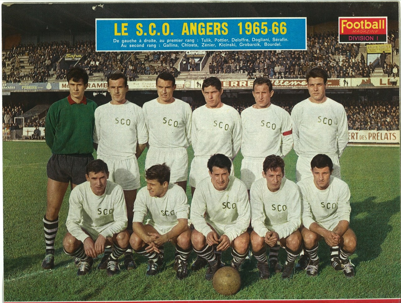 Angers 1965-66.jpg
