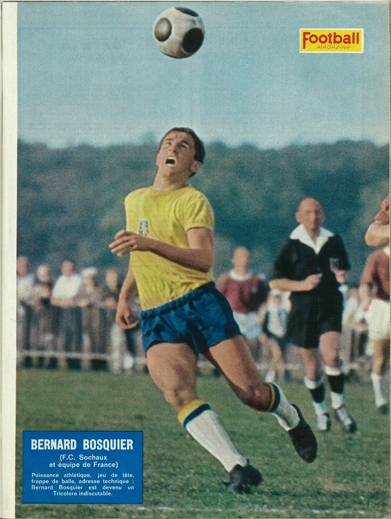 BOSQUIER Bernard.jpg