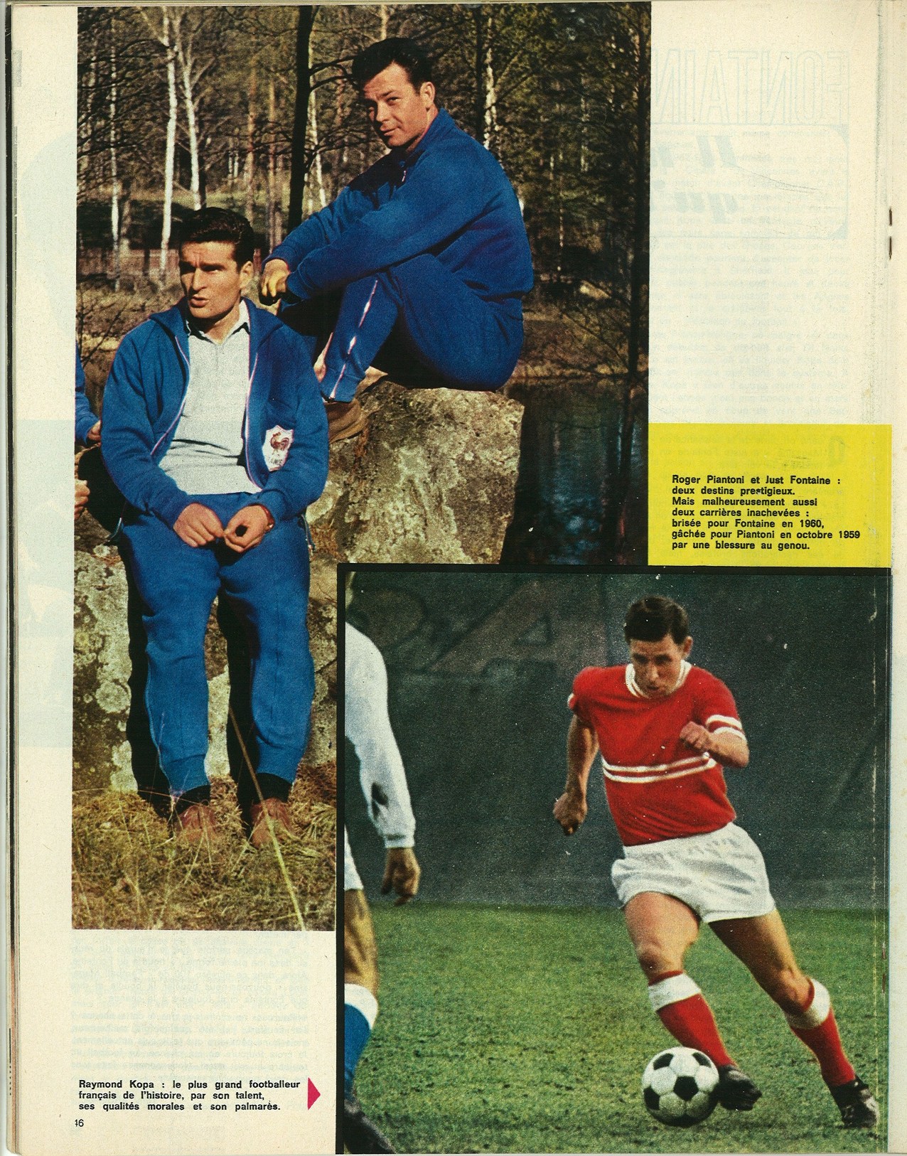 FONTAINE, PIANTONI & KOPA.jpg