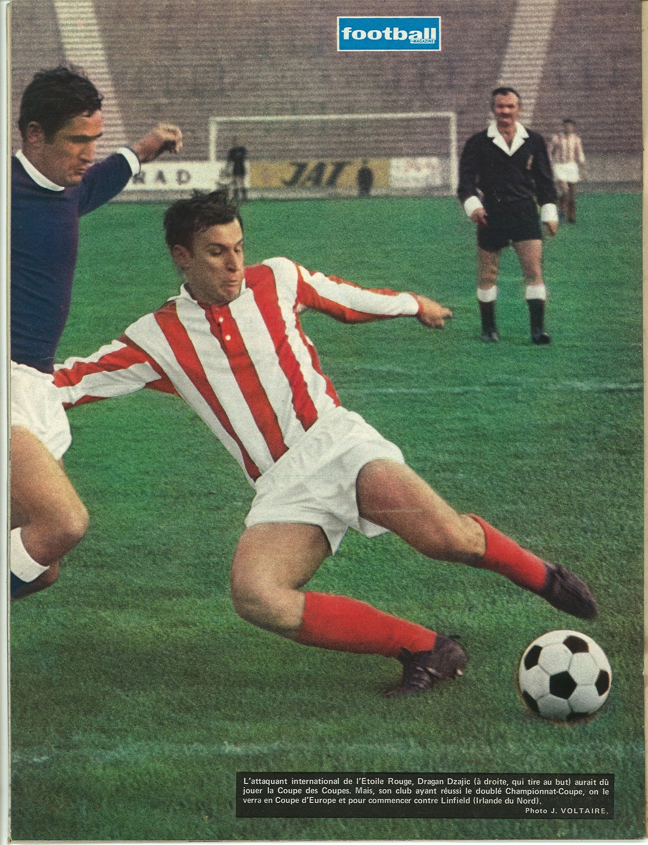 DZAJIC Dragan.jpg