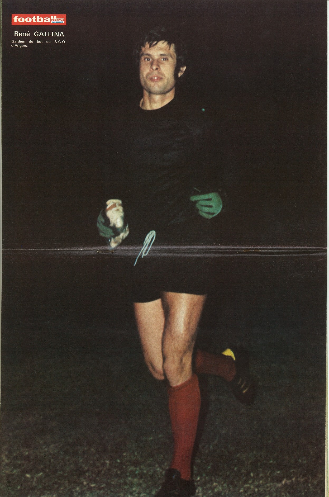 GALLINA René.jpg