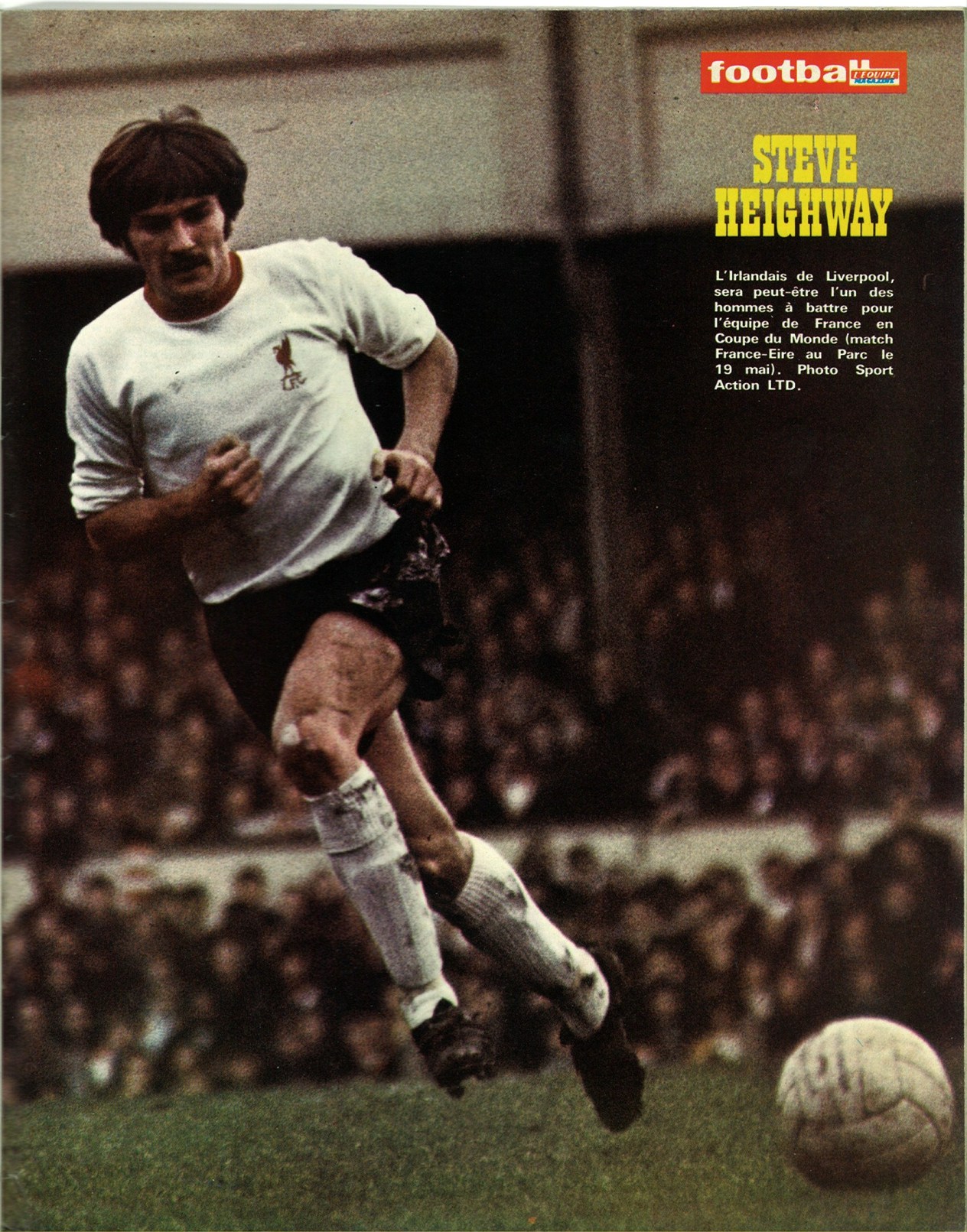 HEIGHWAY Steve.jpg