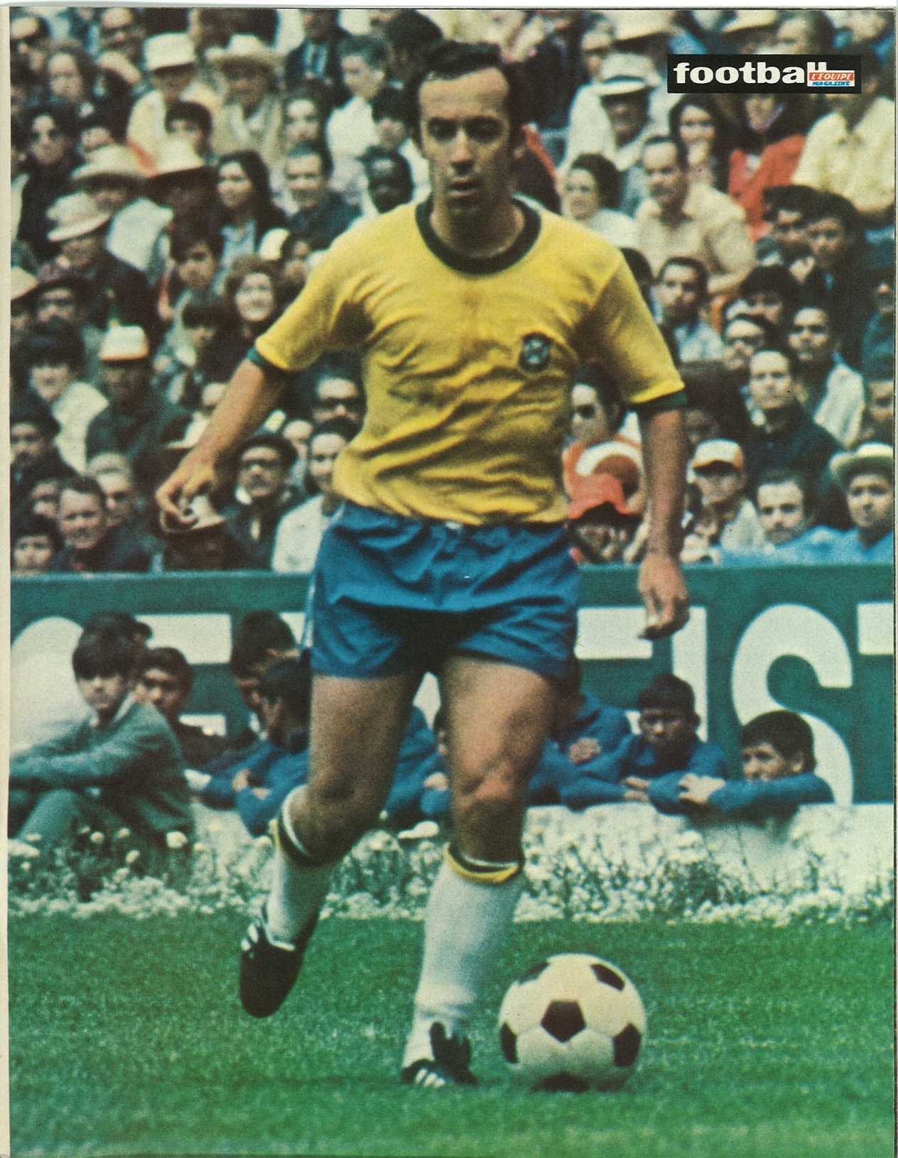 TOSTAO.jpg