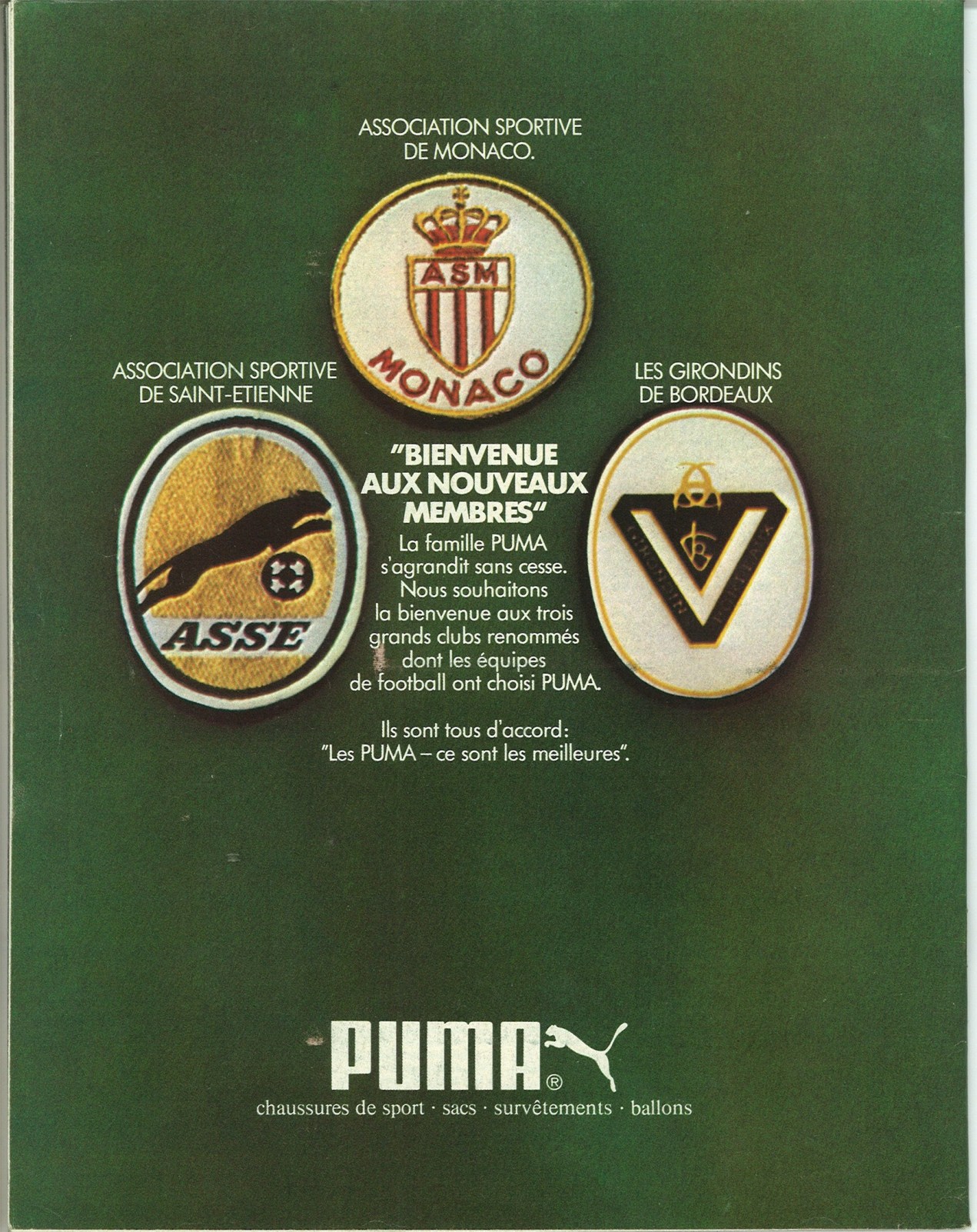 Puma.jpg