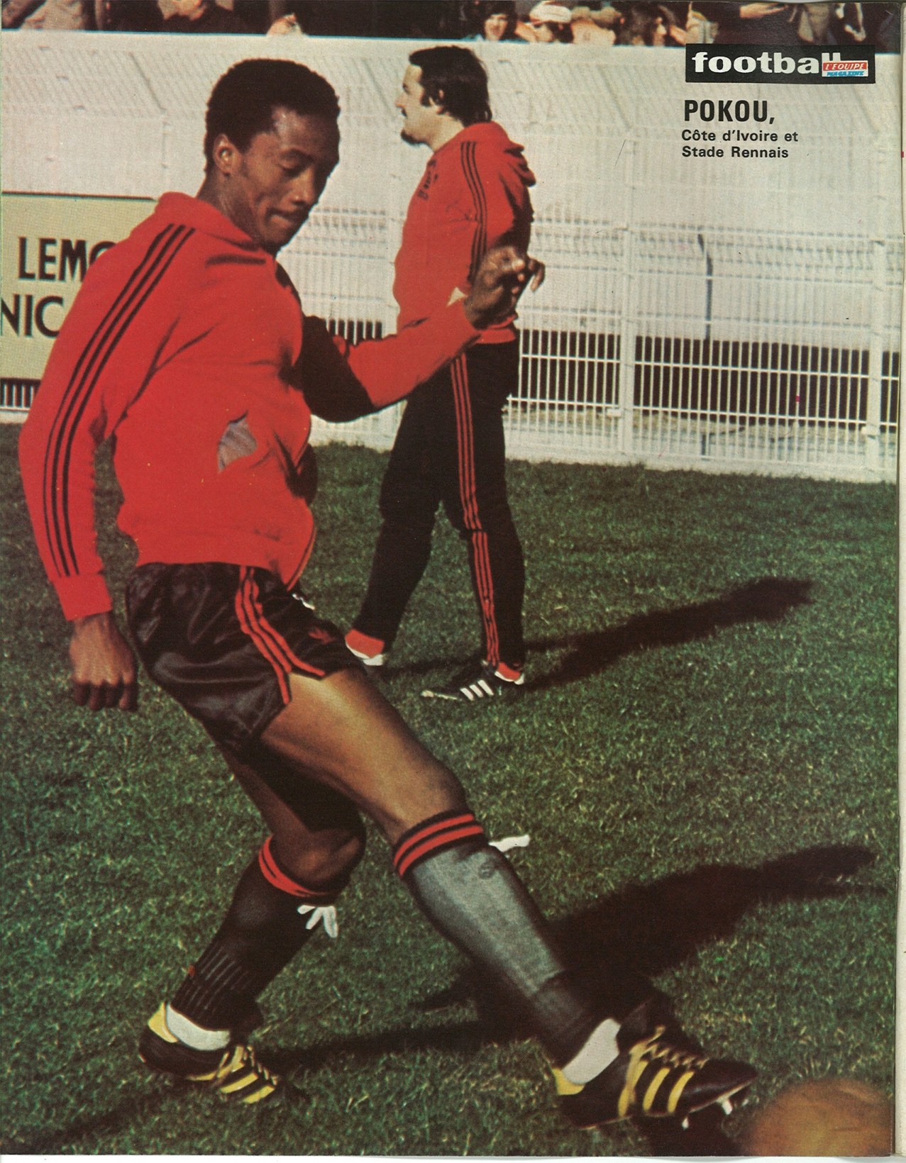 POKOU Laurent.jpg